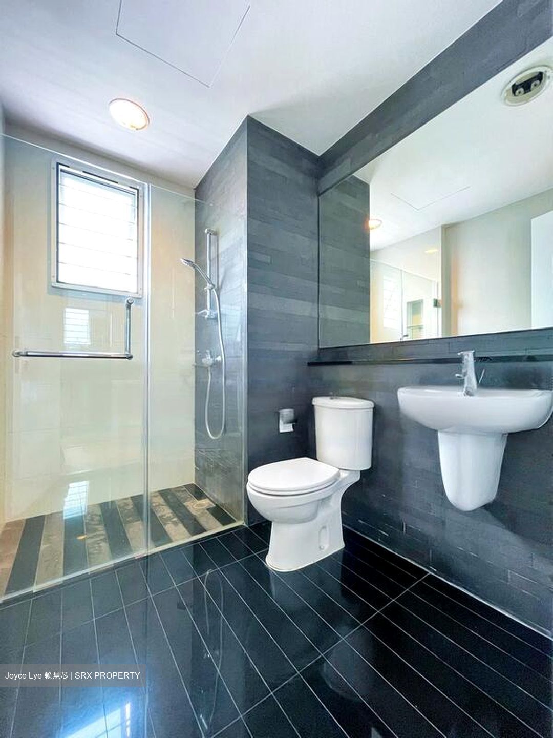 The Tresor (D10), Condominium #447847451
